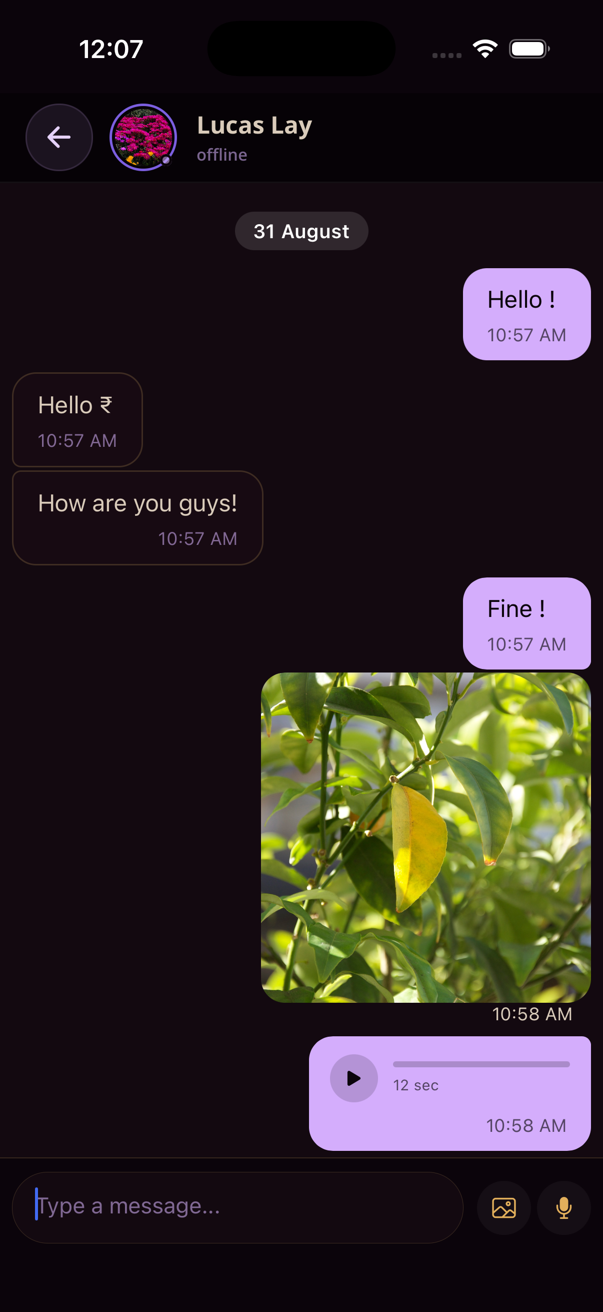 Lavender Lounge secure chat